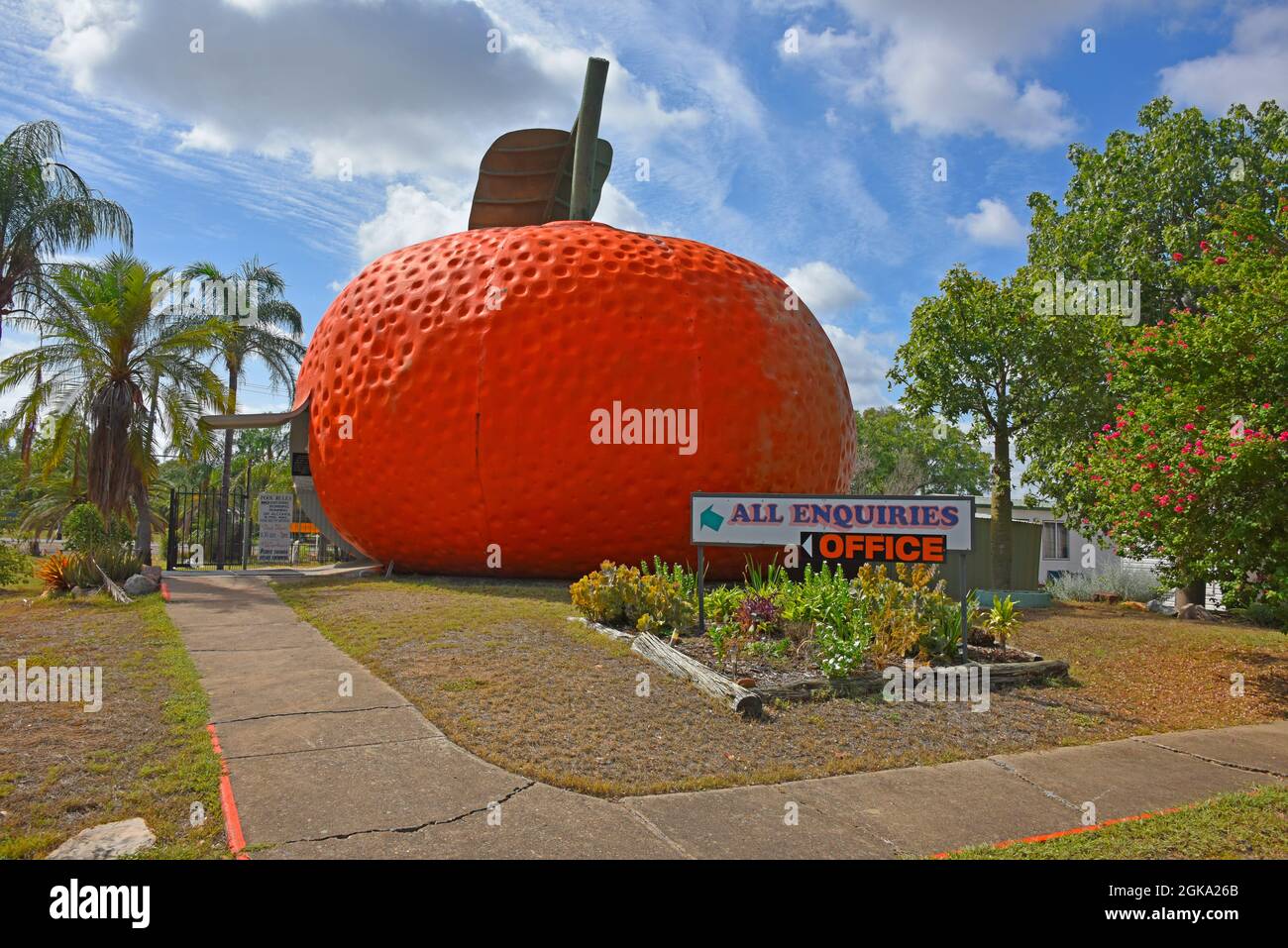 Il Big Mandarin a Mundubbera, nella regione del Burnett settentrionale, Queensland è una scultura in vetroresina sovradimensionata di un mandarino Ellendale. Foto Stock