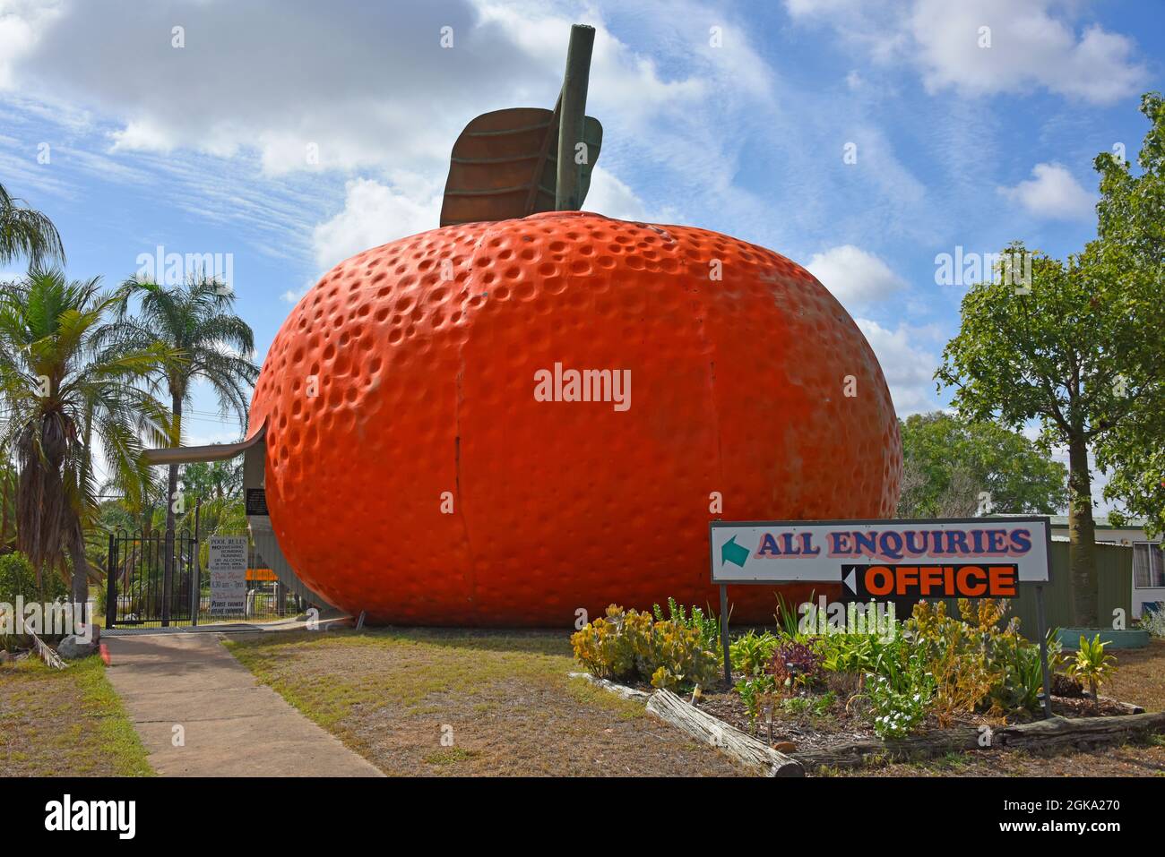 Il Big Mandarin a Mundubbera, nella regione del Burnett settentrionale, Queensland è una scultura in vetroresina sovradimensionata di un mandarino Ellendale. Foto Stock