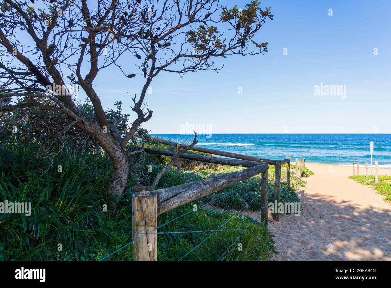 Pista di sabbia alla spiaggia con pali di legno e lontano oceano Foto Stock