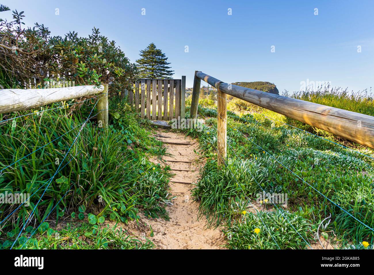 Rustico cancello di legno e pista di sabbia alla spiaggia con pali di legno e piante fiorite Foto Stock