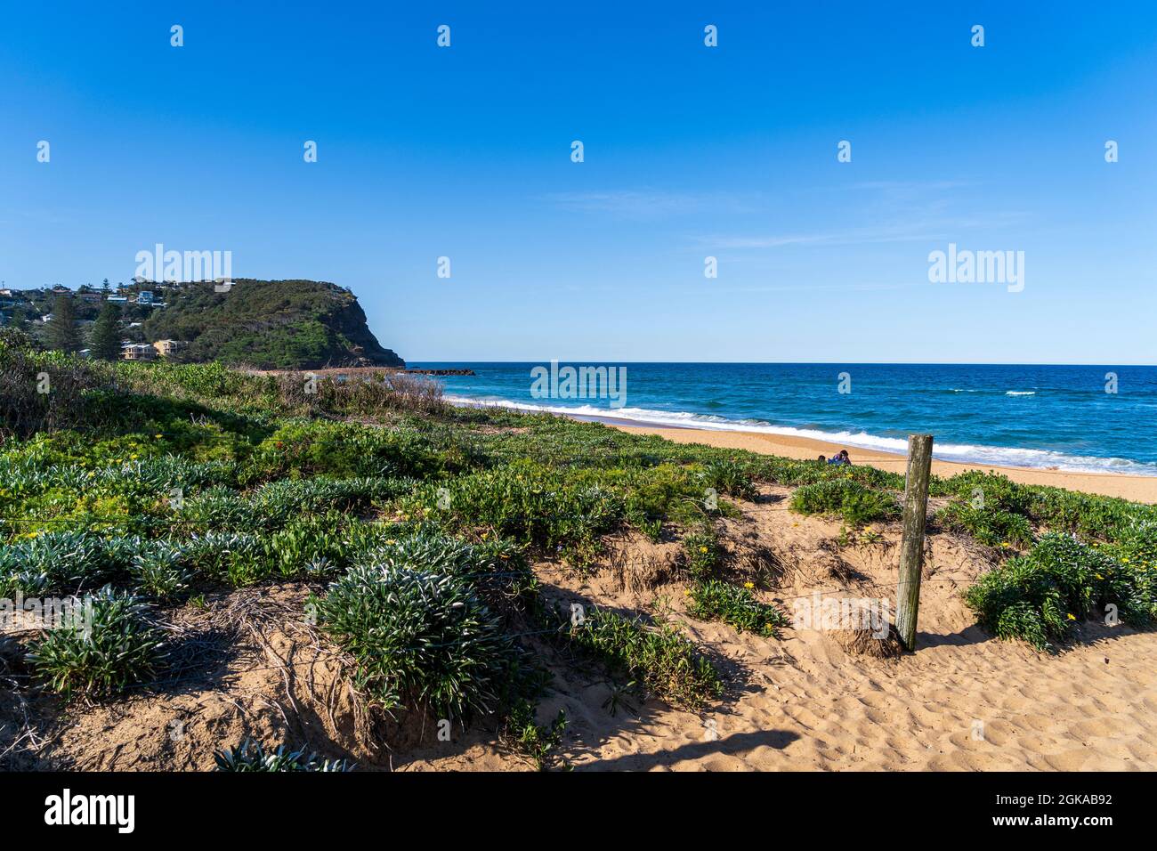 Vista su un promontorio tra dune e vegetazione in riva ad Avoca Beach, Central Coast, NSW, Australia Foto Stock
