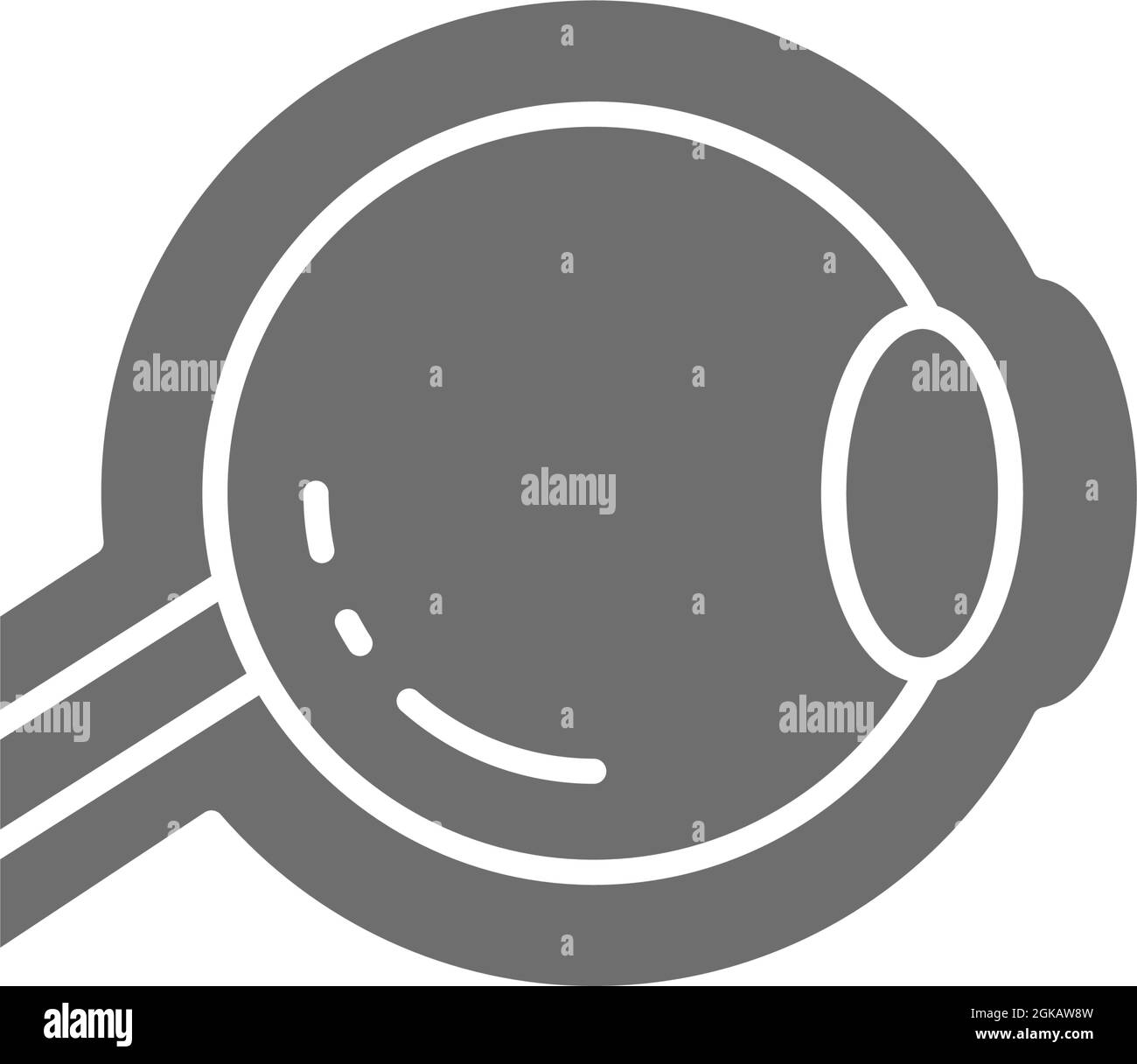 Bulbo oculare, icona grigia del nervo ottico. Isolato su sfondo bianco Illustrazione Vettoriale