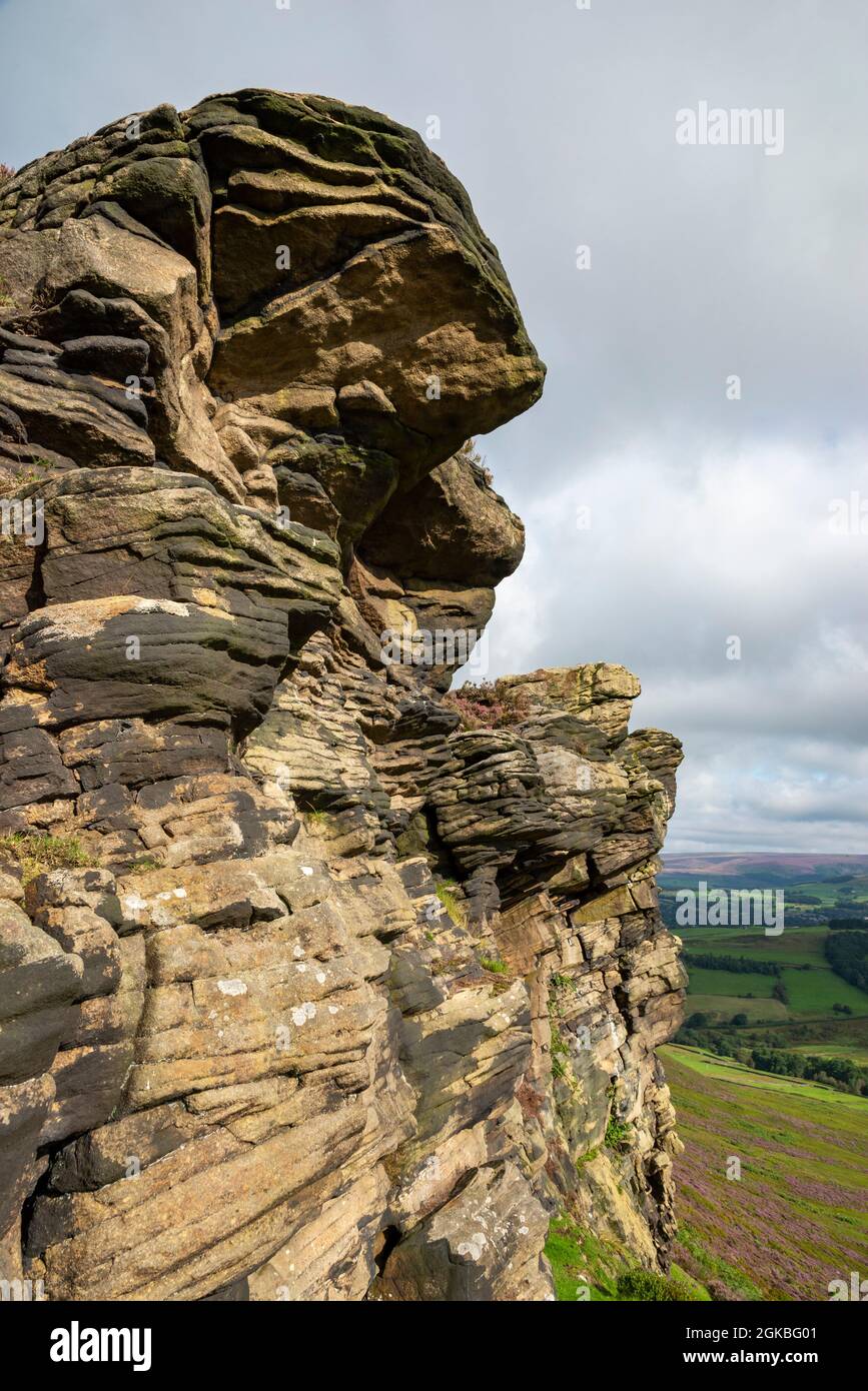 Il Worm Stones, un affioramento di pietra gritstone nelle colline sopra Glossop nell'alto picco, Derbyshire, Inghilterra. Heather che fioritura sulle brughiere qui sotto. Foto Stock