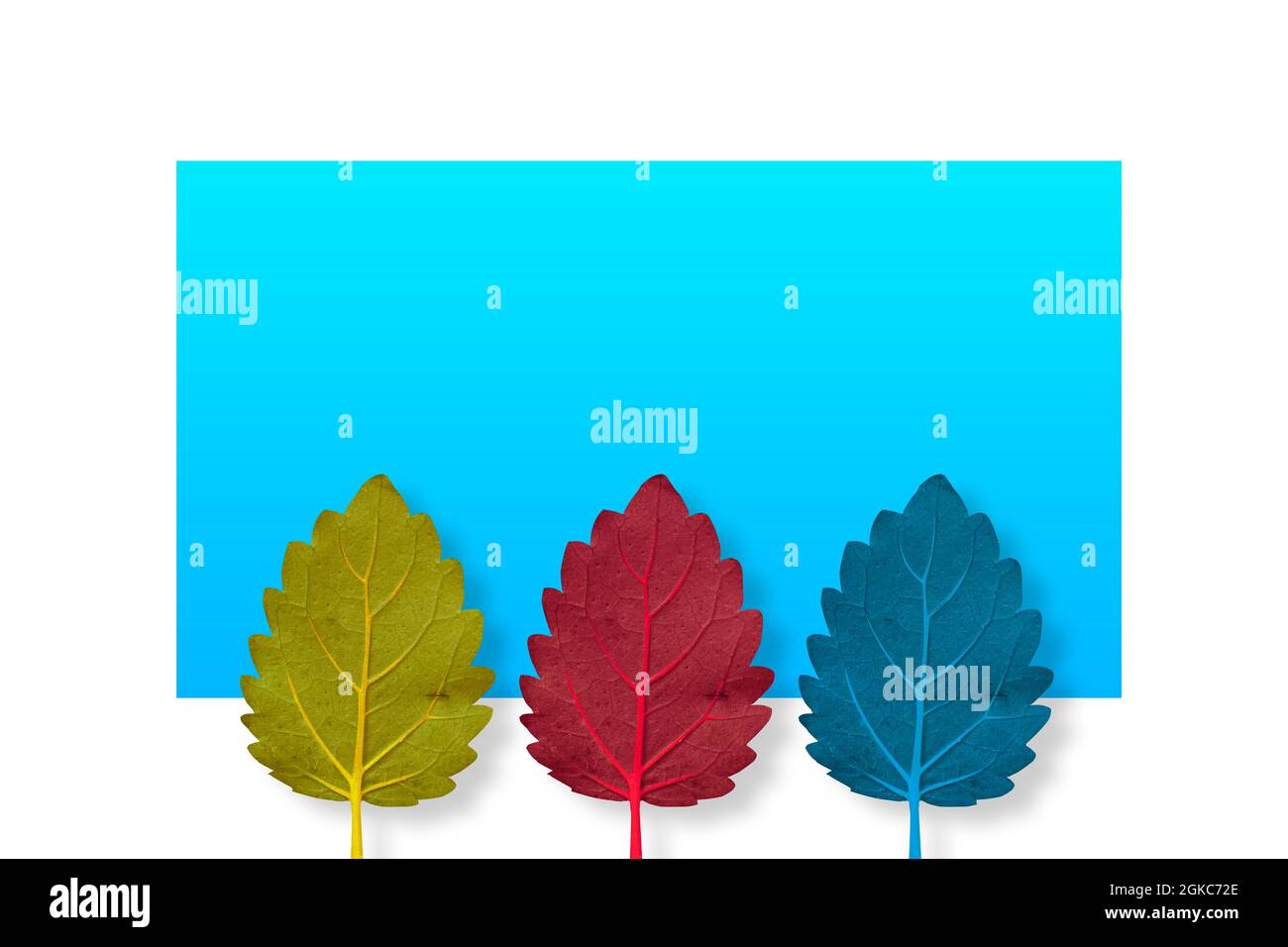 Tre foglie raffiguranti una foresta Foto Stock