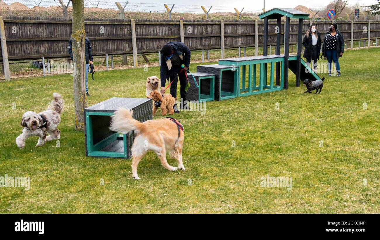 I membri della comunità Liberty Wing osservano come cani esplorare il nuovo parco di cani Liberty Paws presso la Royal Air Force Lakenheath, Inghilterra, 13 marzo 2021. Liberty Paws copre circa 30,000 piedi quadrati con ostacoli replicati e designati per cani di tutte le dimensioni. Foto Stock