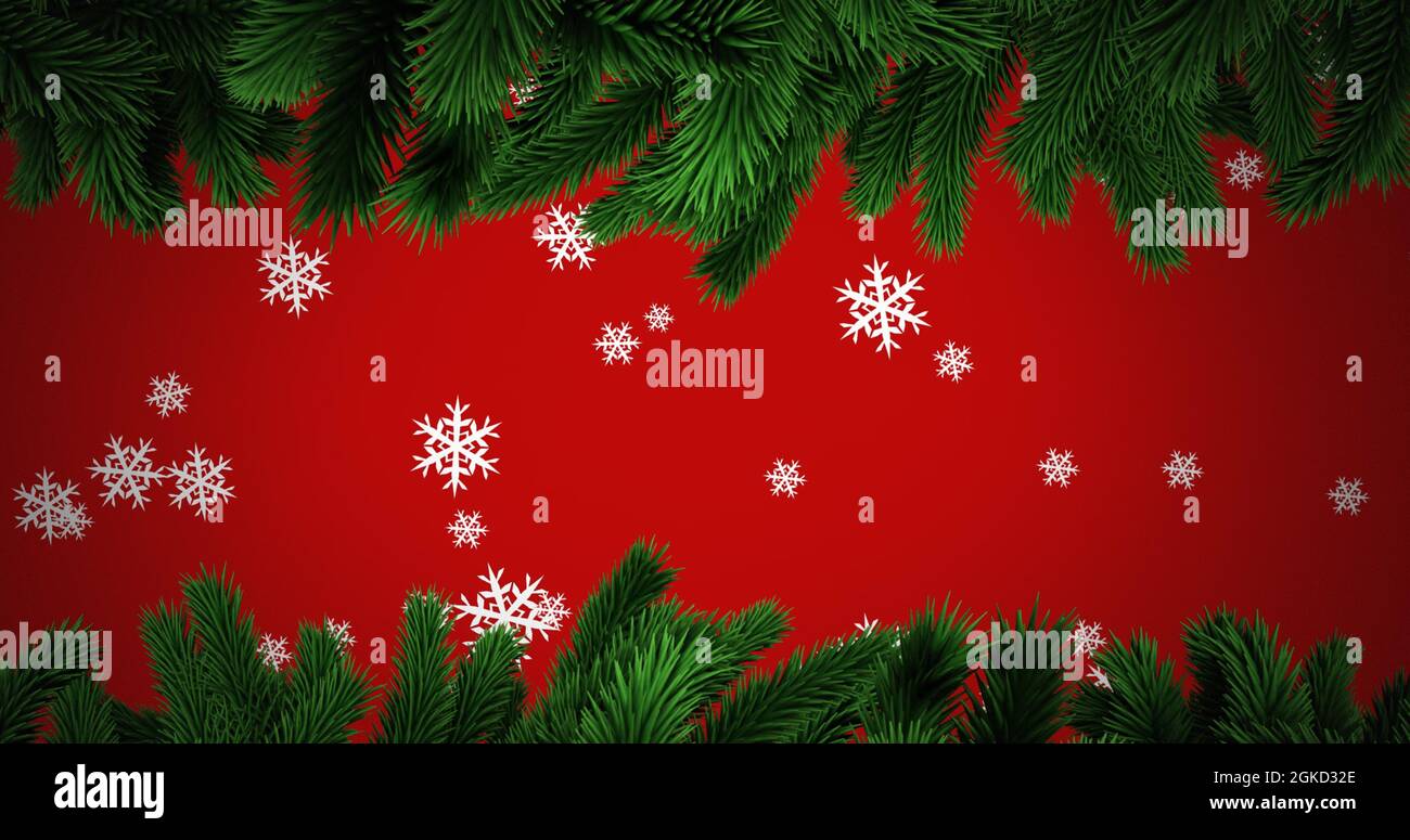 Immagine della neve che cade con rami di abete su sfondo rosso Foto Stock