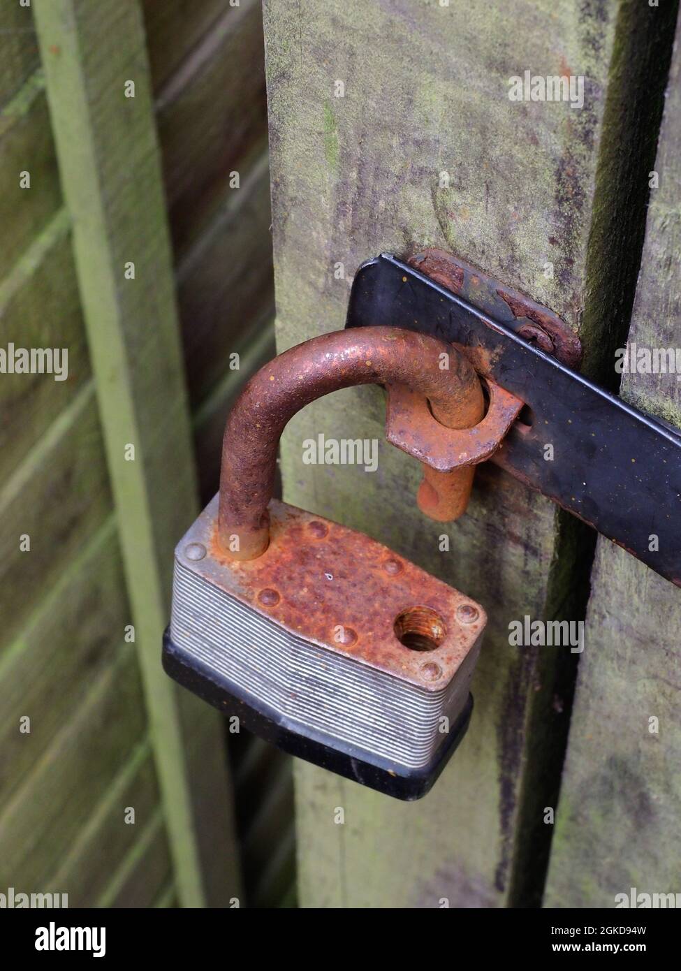 Un lucchetto arrugginito corroso su una porta di legno capannone Foto Stock
