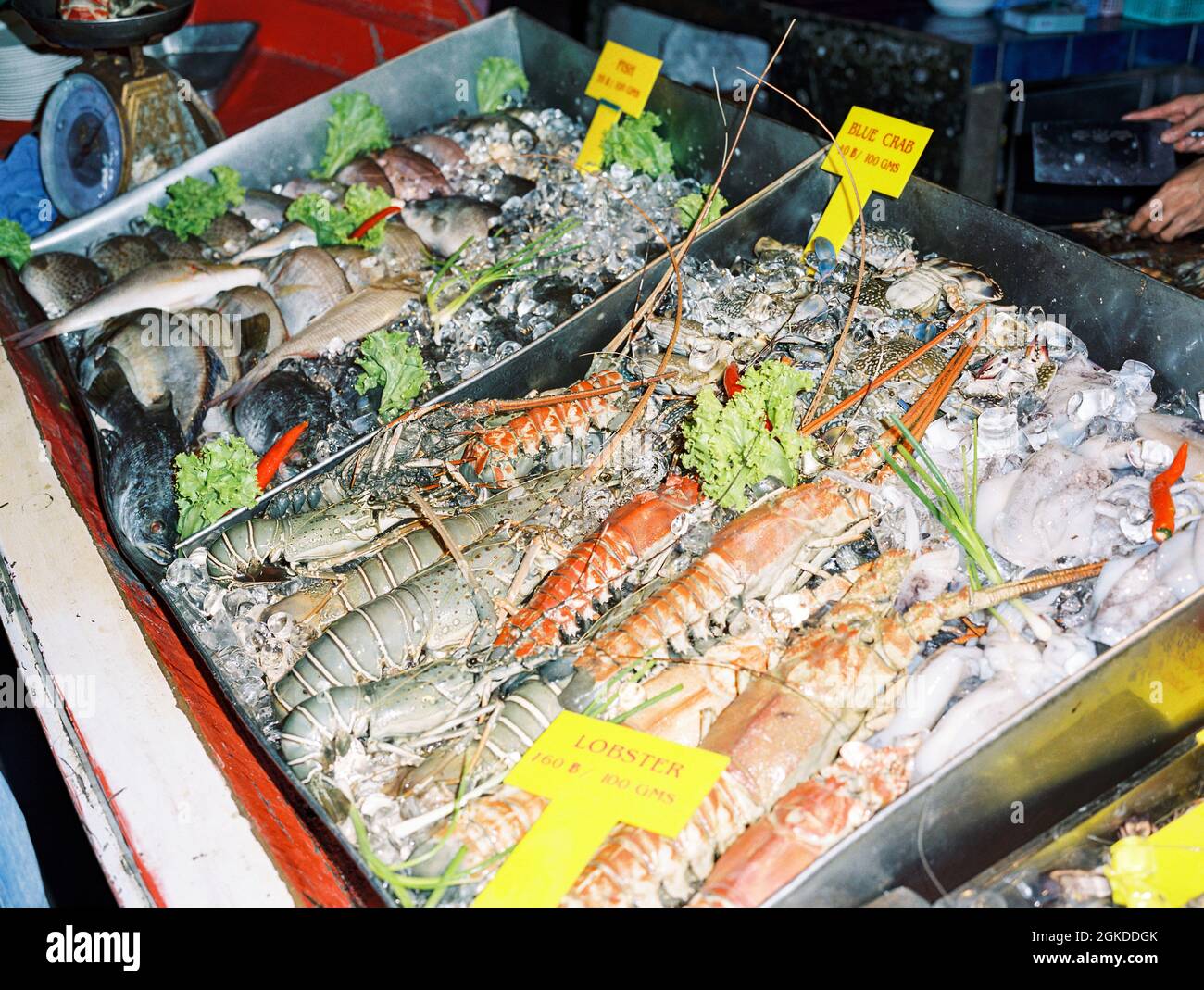Pesce fresco in mostra Phi Phi isola, Krabi, Thailandia. Foto Stock