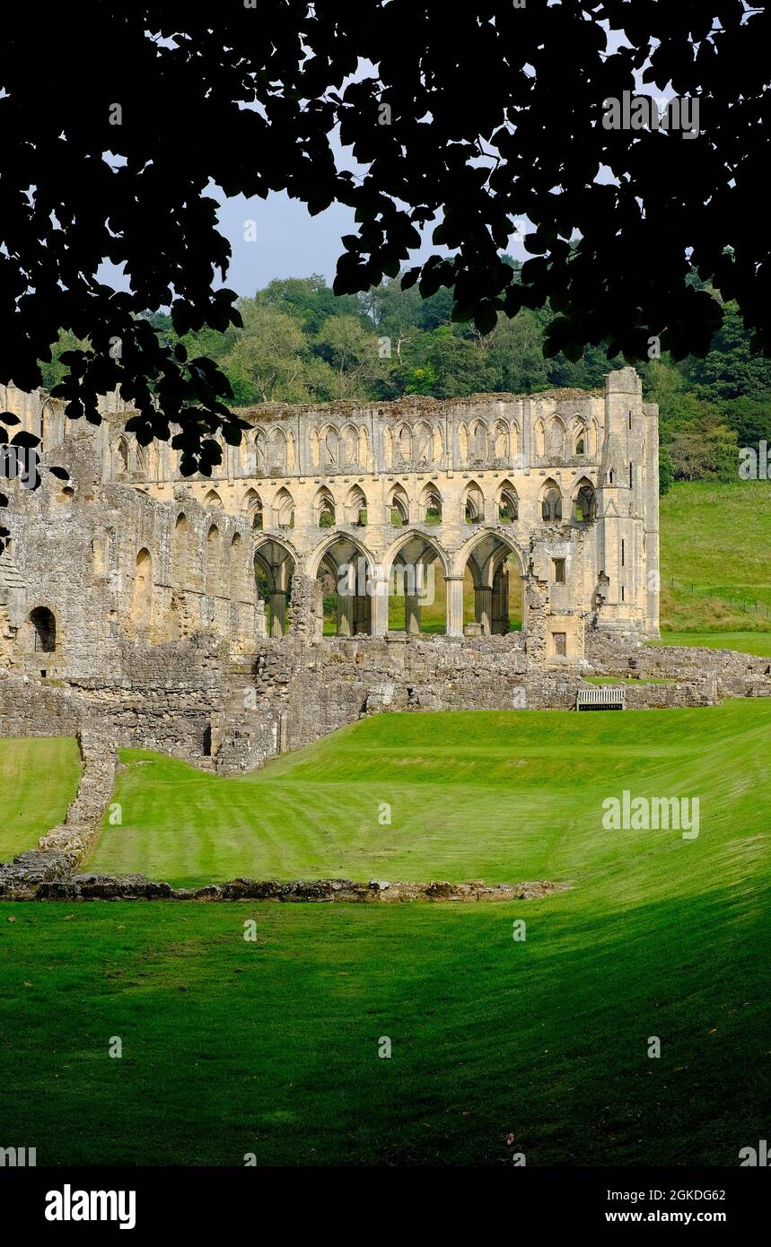 abbazia di rievauix, vicino a helmsley, yorkshire settentrionale, inghilterra Foto Stock