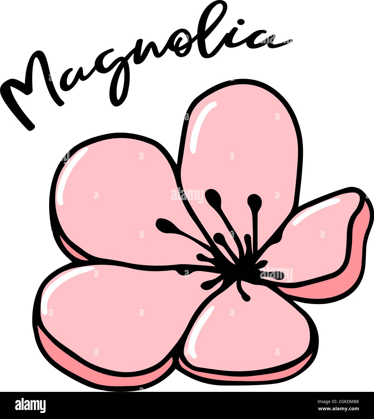 Rosa magnolia fiore vettore Doodle illustrazione silhouette di disegno a mano isolato su sfondo bianco. Fiori germogli primavera, schizzo con lettere Illustrazione Vettoriale