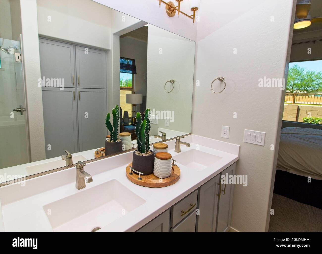 Doppio bagno Vanity con vassoio di legno e pianta di Cactus Foto Stock