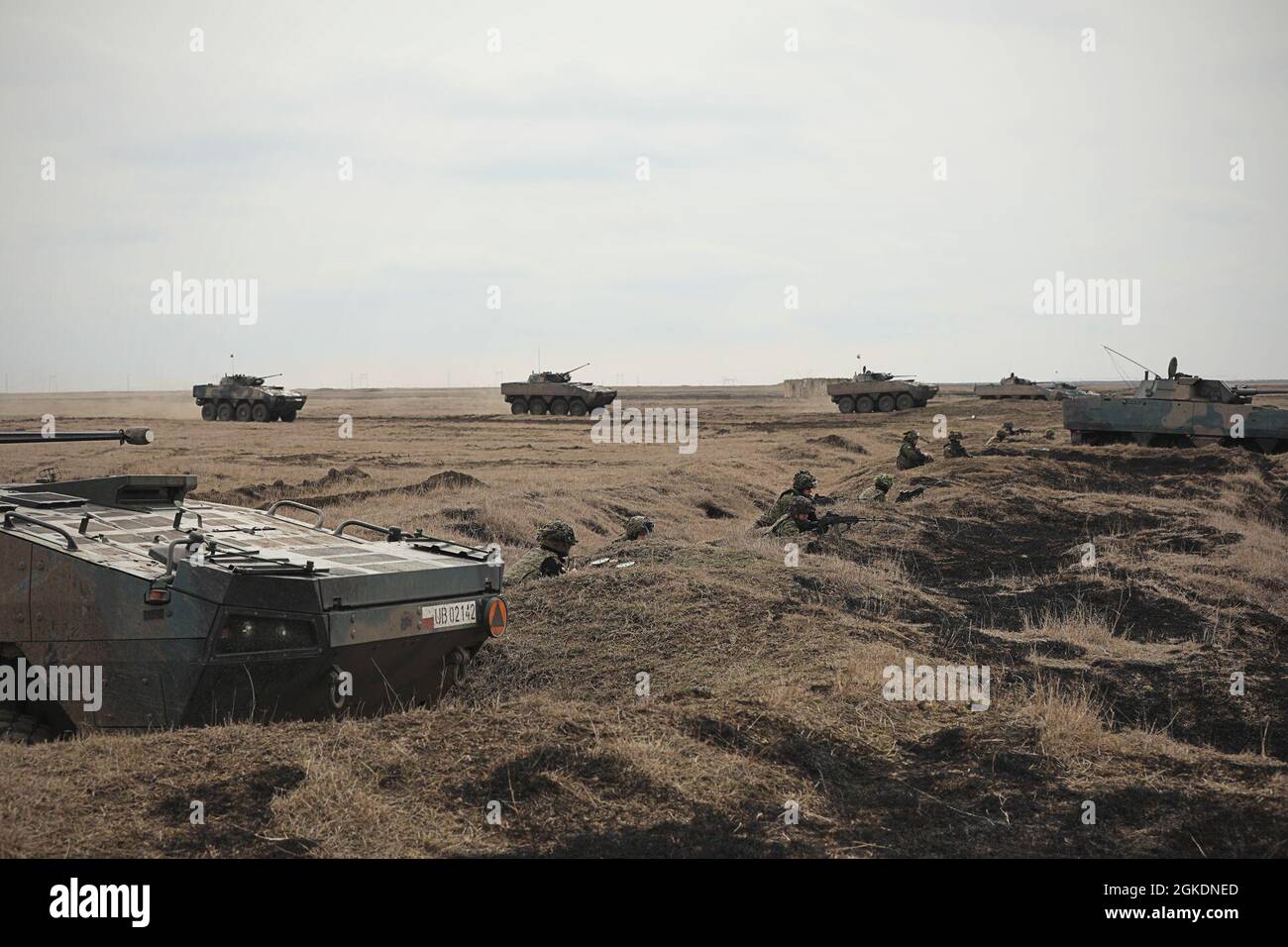 AREA DI ADDESTRAMENTO SMARDAN, Romania — i soldati polacchi forniscono fuoco di sostegno dopo aver smontato il loro veicolo corazzato con ruote “Wolverine” Rosomak durante l'esercizio della forza congiunta, Justice Eagle qui a marzo 23. L'esercizio ha visto la partecipazione di Stati Uniti, Polonia e Romania. Atlantic Resolve training events come Justice Eagle rafforza i legami tra gli alleati della NATO e mette in mostra forze coesive, pronte e capaci. Foto Stock