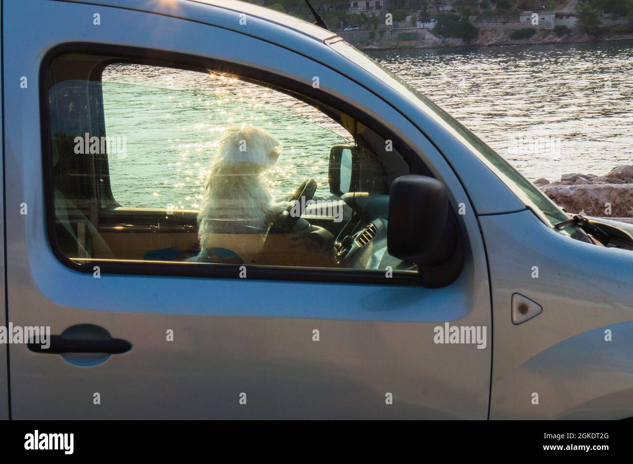 Foto illustrativa, conducente di auto passeggeri, cane che guida un volante, mare, ricreazione, vacanze, Dalmazia, Croazia il 24 agosto 2021. (Foto CTK/ Foto Stock