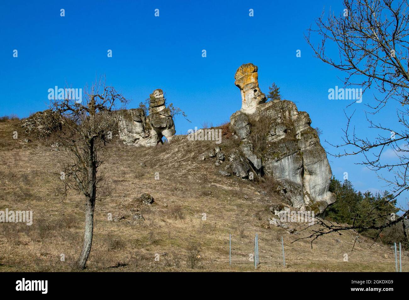 Un colpo di roccia del camino 24 marzo 2021 sull'area di addestramento di Grafenwoehr, Grafenwoehr, Germania. Il 7° comando di addestramento dell'Esercito lavora con la Bundesforst tedesca per proteggere e sostenere l'ambiente in GTA. Importante sito natura 2000 in Baviera, GTA ospita centinaia di specie vegetali e animali. Foto Stock