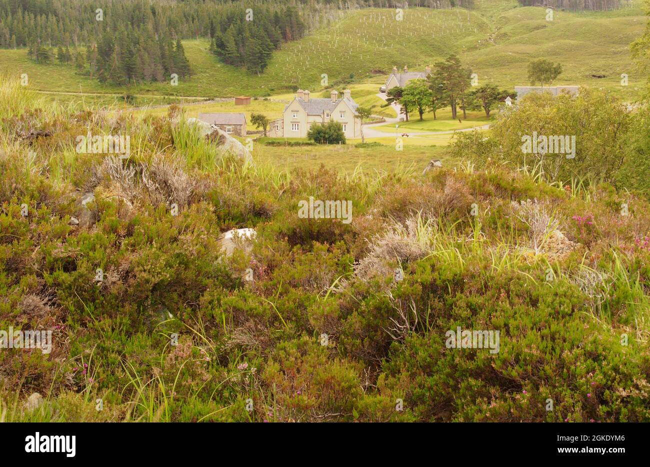 Una vista di Gobernuisgach Lodge situato all'estremità meridionale di Glen Golly, Sutherland, Scozia, fuori nel selvaggio e molto remoto Foto Stock