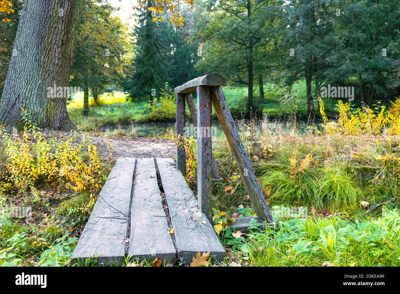 Passerella in legno sul torrente Foto Stock