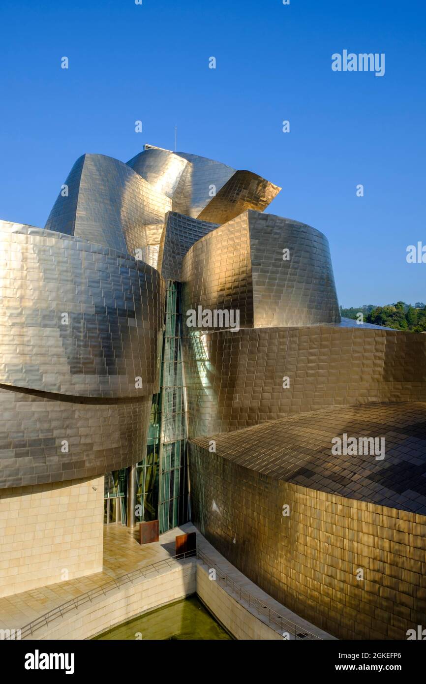 Museo Guggenheim Bilbao, architetto Frank O. Gehry, Bilbao, provincia di Bizkaia, Pais Vasco, Paesi Baschi, Spagna Foto Stock