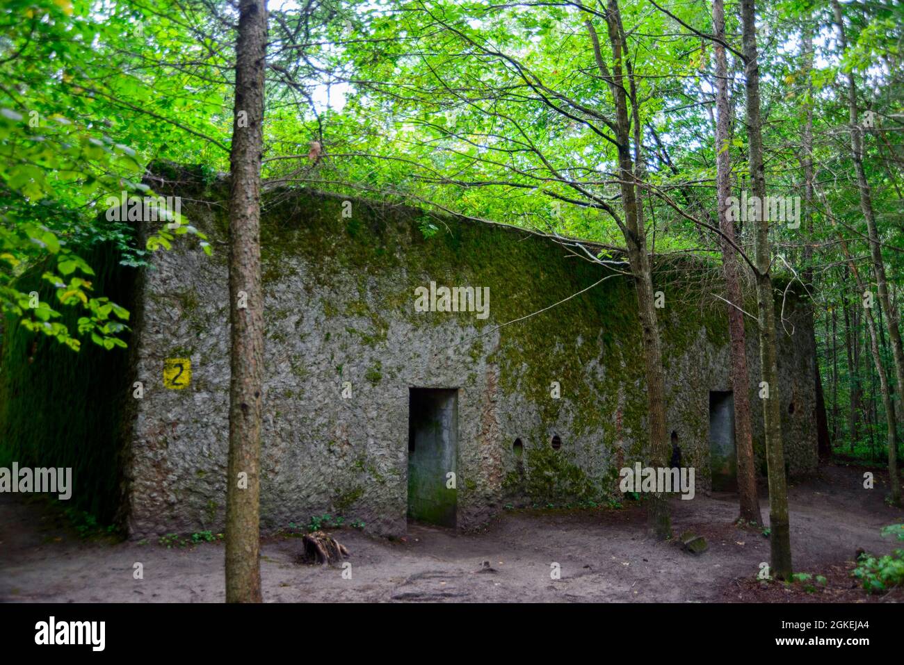 Bunker, insediamento forestale, Mamerki, Wegorzewo, Warmia-Masuria, Muro foresta, Angerburg, Warminsko-Mazurskie, Polonia Foto Stock