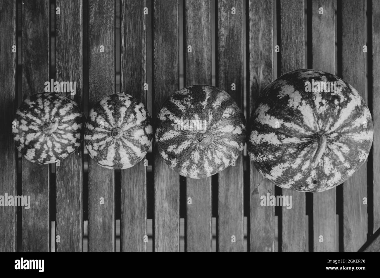 dal più piccolo al più grande Foto Stock