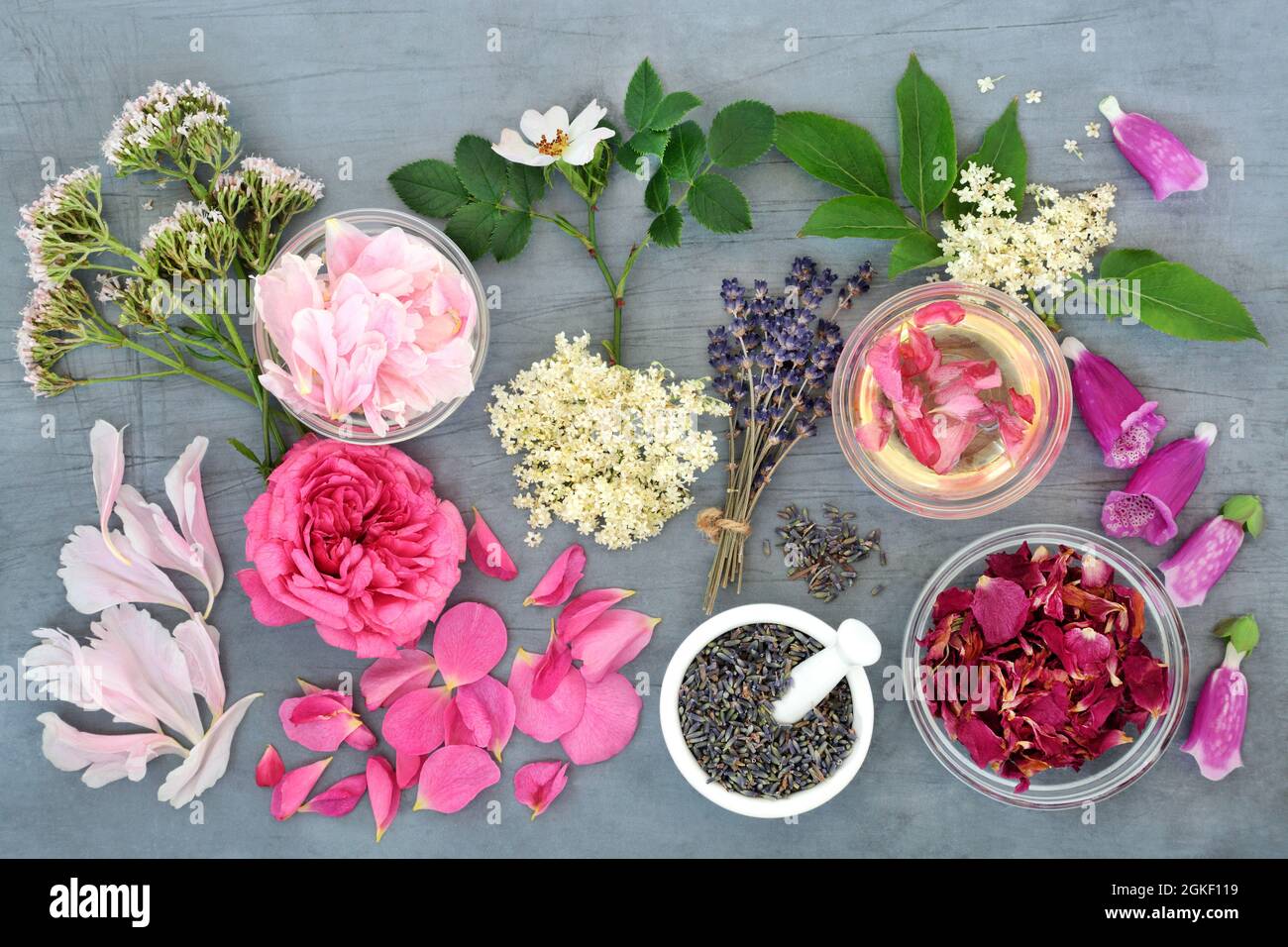 Preparazione naturale di erbe di medicina con erbe e fiori. Concetto di assistenza sanitaria alternativa basata su piante per trattamenti essenziali dell'olio. Foto Stock