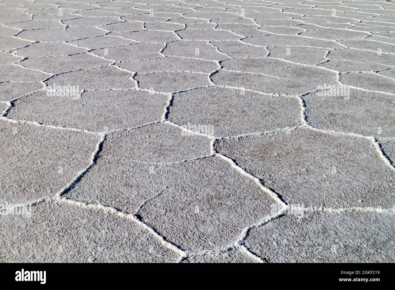Superficie della più grande pianura salina del mondo Salar de Uyuni, Bolivia Foto Stock