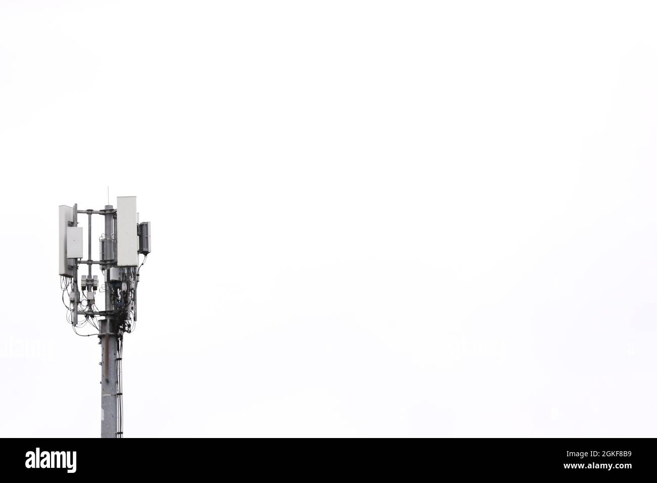 Un albero di comunicazioni telefoniche mobili visto con un cielo bianco chiaro su Belfast, Irlanda del Nord. Foto Stock