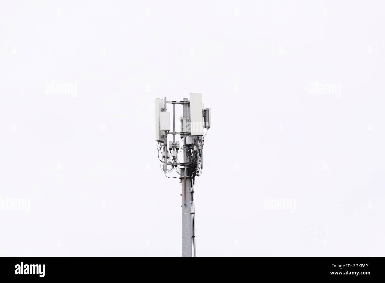 Un albero di comunicazioni telefoniche mobili visto con un cielo bianco chiaro su Belfast, Irlanda del Nord. Foto Stock