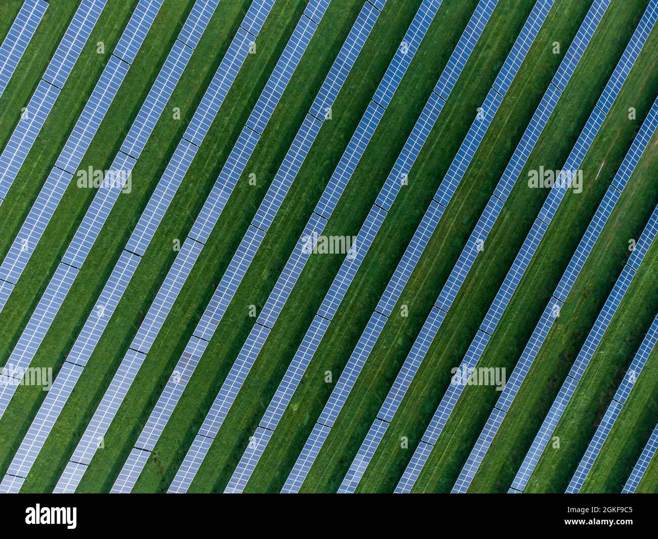 Vista aerea di un grande impianto di generazione di pannelli solari commerciali che produce energia verde pulita per la rete elettrica nazionale, (West Sussex) Regno Unito Foto Stock