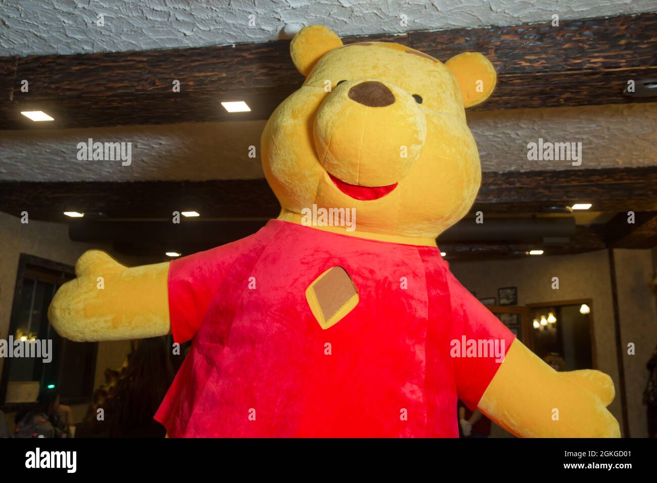 Costumi da mascotte di orsacchiotto giallo . Teddy orso costumi