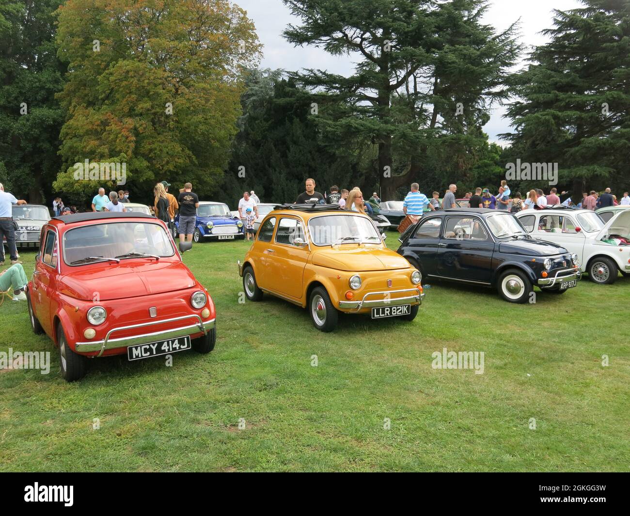 Una fila di Fiat 500 in 'Classics on the Lawn' mostra auto durante il fine settimana patrimonio; molto per gli appassionati di ammirare al Delatre Abbey, settembre 2021. Foto Stock
