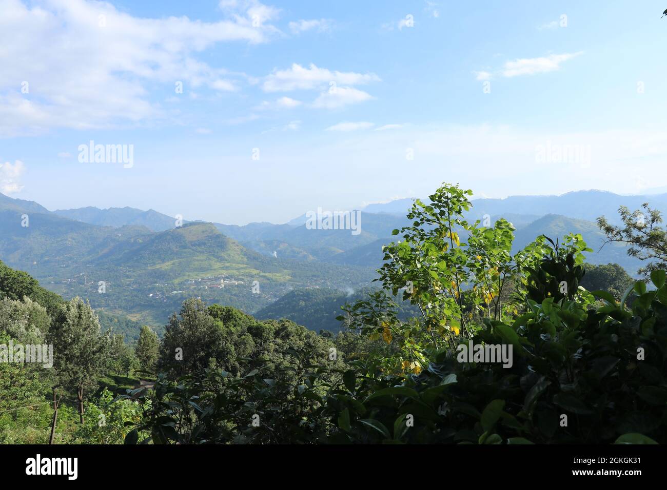 Bellissimo paesaggio di montagne, alberi, cielo blu, nuvole e la tenuta di tè Foto Stock