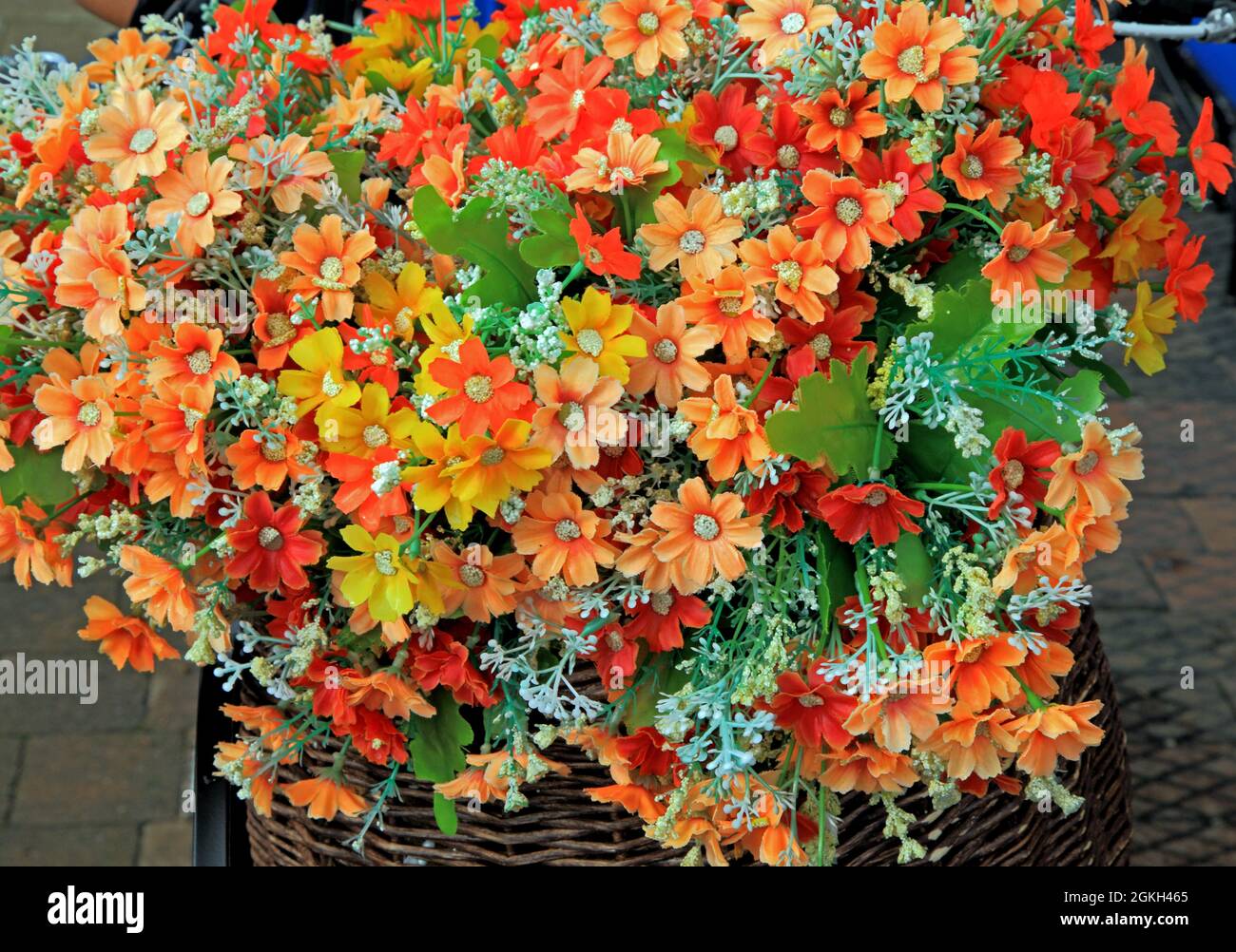 Cesto anteriore per biciclette, fiori, contenitore per piante Foto Stock