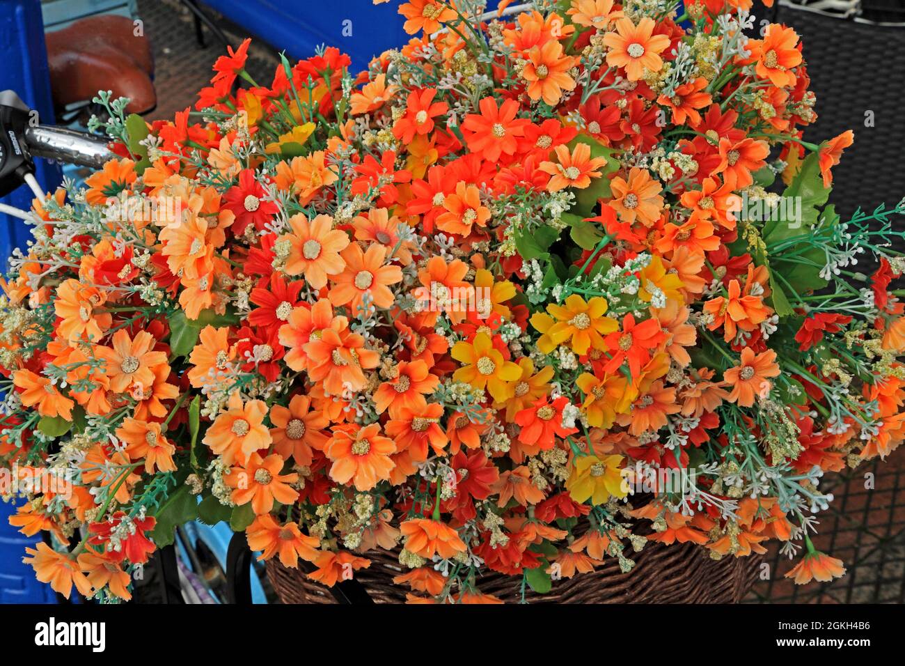 Cesto anteriore per biciclette, fiori, contenitore per piante Foto Stock