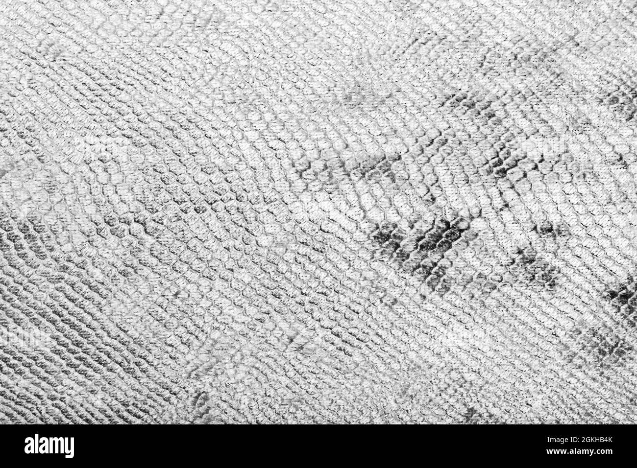 Texture foto di pelle di serpente color argento con materiale pelliccia. Foto Stock