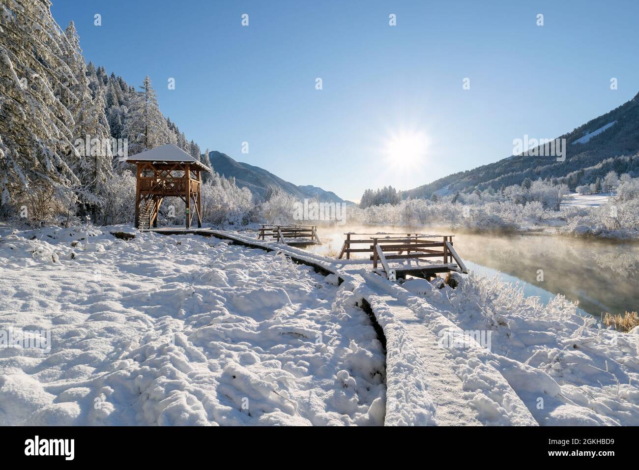 Fredda mattina invernale al lago Zelenci di Kranjska Gora, Slovenia. Foto Stock