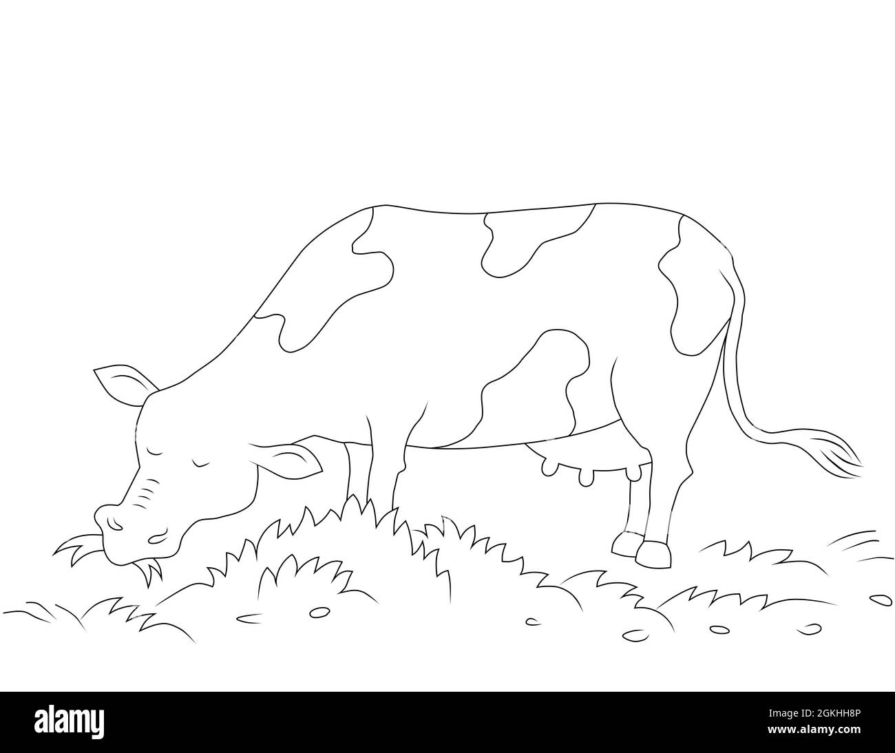 vista laterale disegno di contorno di una mucca macchiata che pascola e con mammelle, pagina di colorazione in bianco e nero Foto Stock
