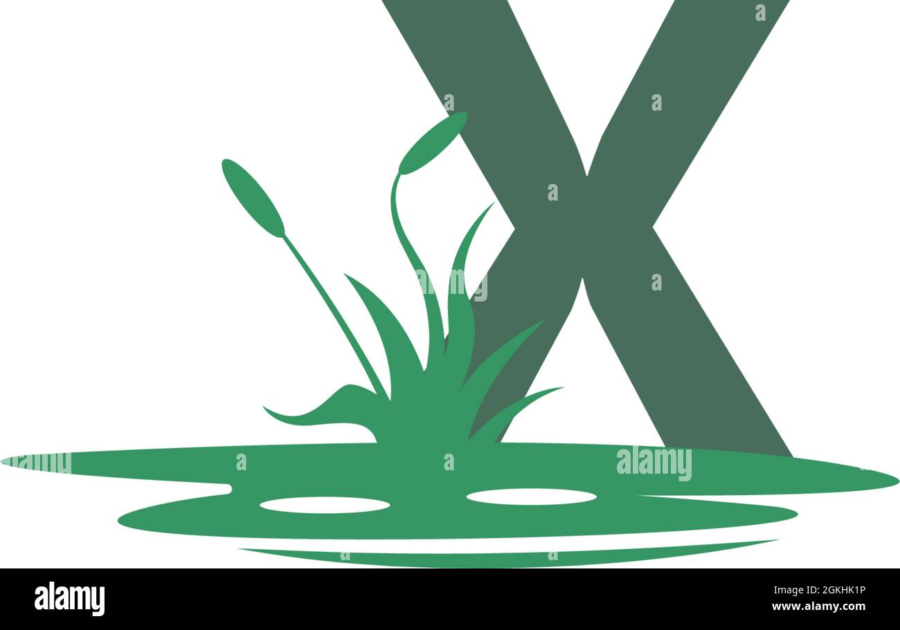 Illustrazione della lettera X dietro le pozzanghere e la sagoma dell'erba Illustrazione Vettoriale