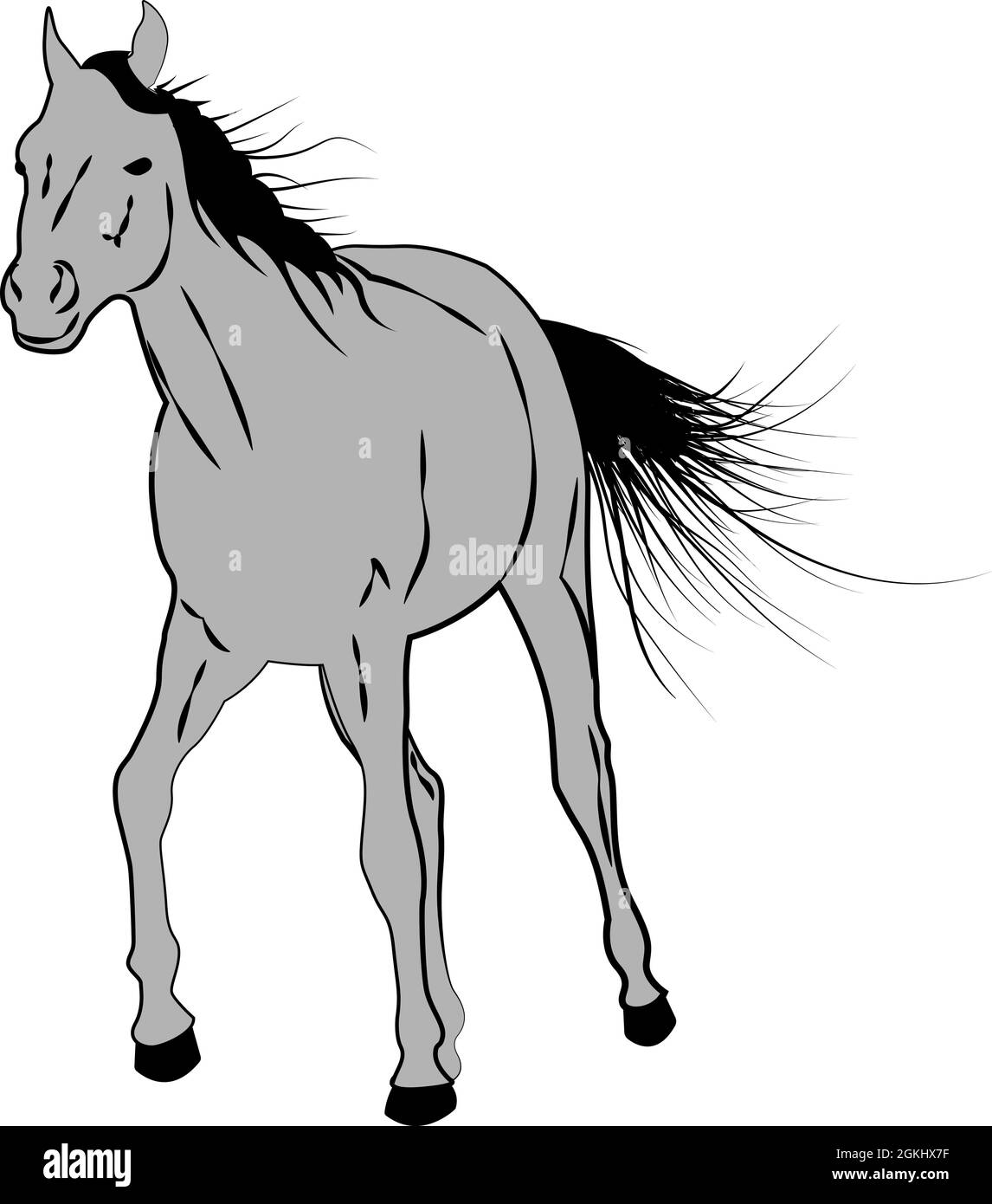 Illustrazione vettoriale dello stallone di cavallo in stile di schizzo Illustrazione Vettoriale