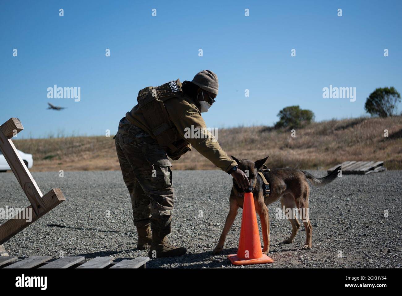 U.S. Air Force staff Sgt. Jennifer James, 60th Security Forces Squadron Military Working Dog Handler, impartisce un comando a MWD Daria durante un esercizio di addestramento congiunto il 27 aprile 2021, presso la base dell'aeronautica di Travis, California. California Department of Corrections and Rehabilitation gli ufficiali K-9 sono venuti a Travis AFB per addestrare con i 60th SFS MWD Handlers. La collaborazione ha avanzato le funzionalità MWD a più livelli e ha migliorato il rapporto con il CDCR e altre forze dell'ordine. Foto Stock