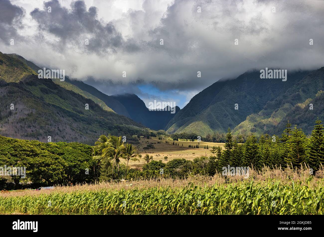 Fertile valle e montagne sull'isola di maui. Foto Stock