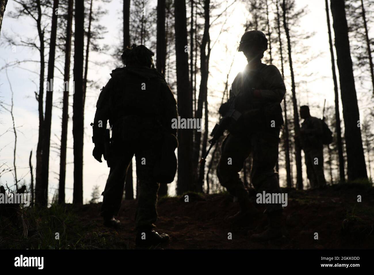 AREA DI ADDESTRAMENTO CENTRALE DI TAPA, Estonia – il 3° leader del plotone, 1° Lt. Cheyenne Helsel, assegnato a Alpha Troop, 5° Battaglione, 7° Cavalry Regiment dà ordini al suo plotone insieme al suo omologo estone durante le missioni di follow-on di Swift Response 21. Le unità della 82a Divisione fanteria Airborne hanno partecipato a Swift Response 21, un esercizio collegato di DEFENDER-Europe 21. DEFENDER-Europe 21 è un'esercitazione guidata dall'esercito statunitense su larga scala progettata per costruire la disponibilità e l'interoperabilità tra gli Stati Uniti, gli alleati della NATO e i militari partner. Quest'anno, più di 28,000 forze multinazionali da 26 nat Foto Stock