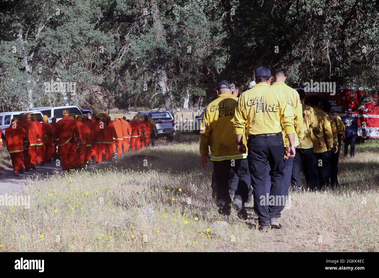 California National Guardsmen (a destra) con Joint Task Force Rattlesnake, Fresno Unit, camminare fianco a fianco con California Department of Corrections and Rehabilitation (DEPCOR) vigili del fuoco (in arancione) 12 maggio 2021, in seguito a un briefing sulla sicurezza del California Department of Forestry and Fire Protection (CAL FIRE) presso il sito di addestramento Millerton a Friant, California. Allo stesso modo, i guardiani e i detenuti di CAL si allenano per combattere gli incendi selvatici, poiché CAL FIRE ha gestito con successo un programma di estinzione degli incati per decenni e Cal Guard ha avviato le operazioni di Rattlesnake della Joint Task Force nel 2019. Entrambe le entità ca Foto Stock