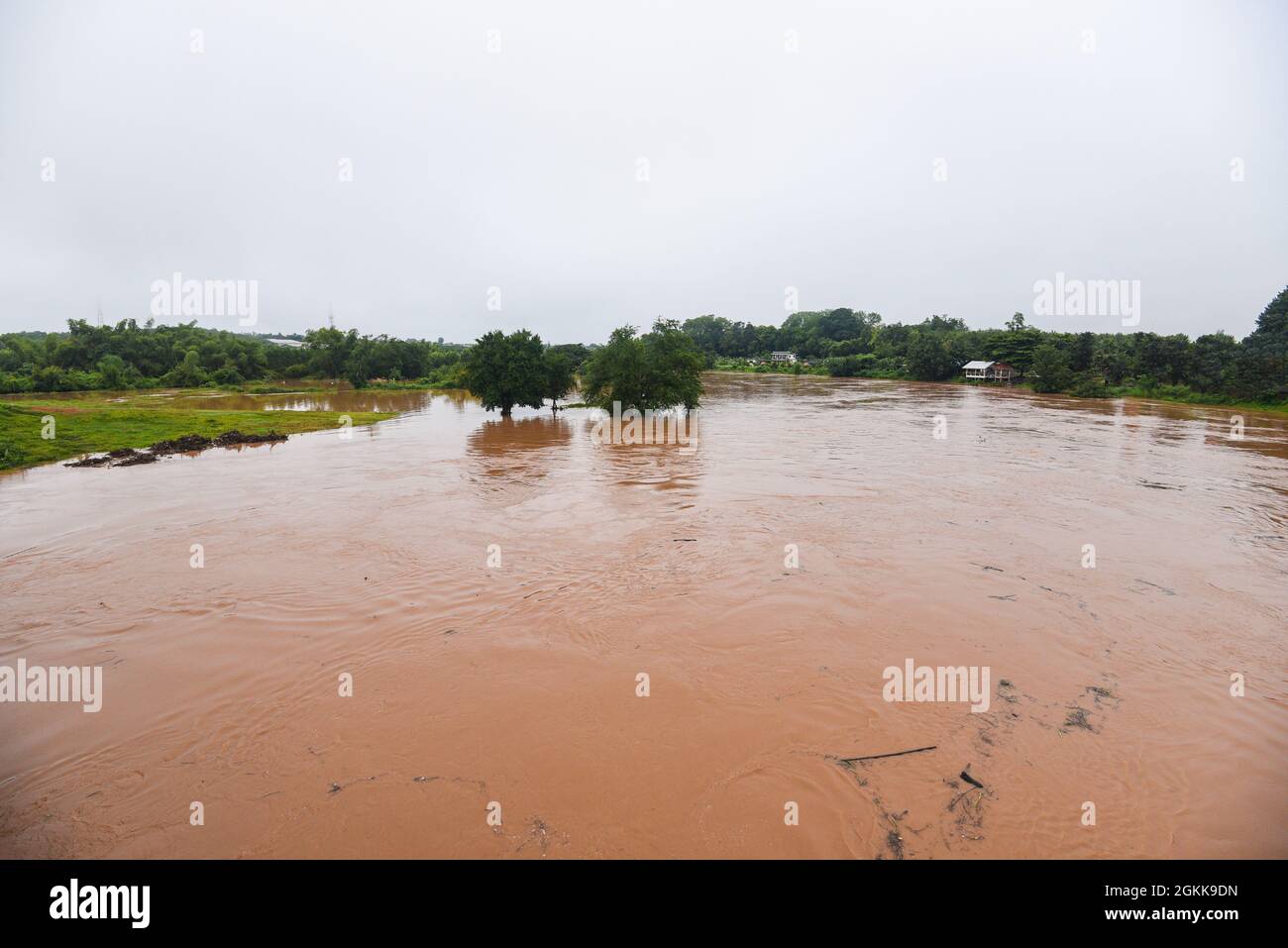 Vista aerea fiume alluvione foresta natura bosco area verde albero, vista dall'alto fiume lagune stagno con alluvione d'acqua dall'alto, Raging fiume che corre giù jung Foto Stock