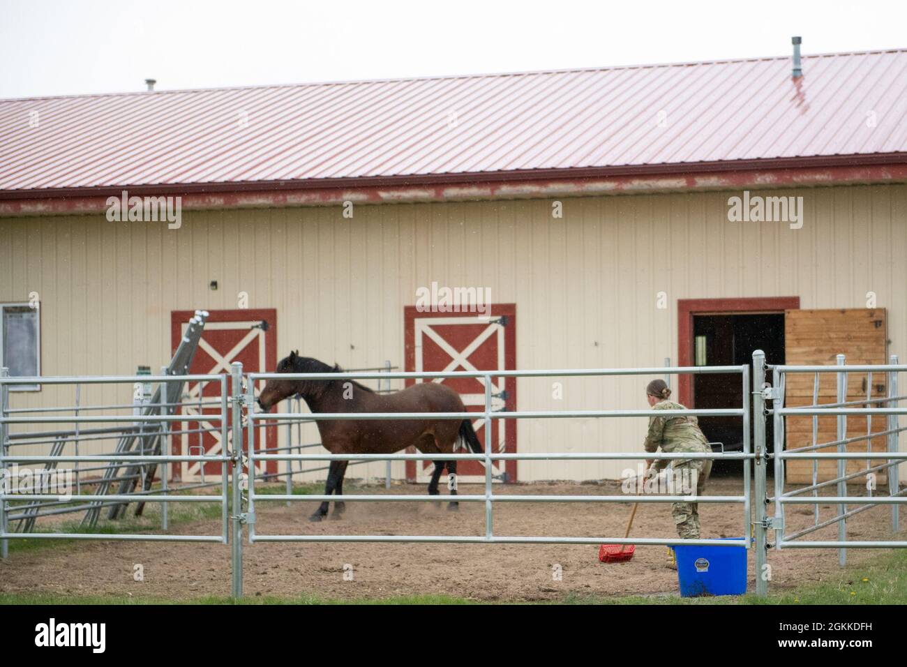 Personale Sgt. Felicia Holbrook aiuta a ripulire la penna di uno dei mostangs che sarà abbinato con un partecipante al programma di remount operazione al Mirrored K Legacy Ranch a Jay em, Wyo., il 15 maggio 2021. Holbrook e uno dei suoi soldati si sono offerti volontariamente per preparare i terreni per l'imminente inizio del programma per l'operazione remount, un veterano e un programma di primo soccorso per aiutare i partecipanti con disturbo da stress post-traumatico o lesioni cerebrali traumatiche. Foto Stock