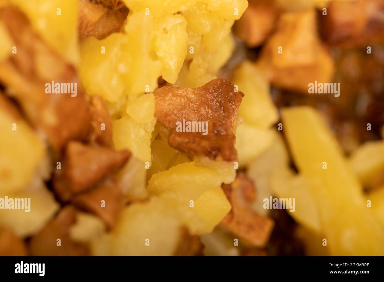 Patate fritte in padella con funghi, primo piano, fuoco selettivo. Un piatto tradizionale villaggio Foto Stock