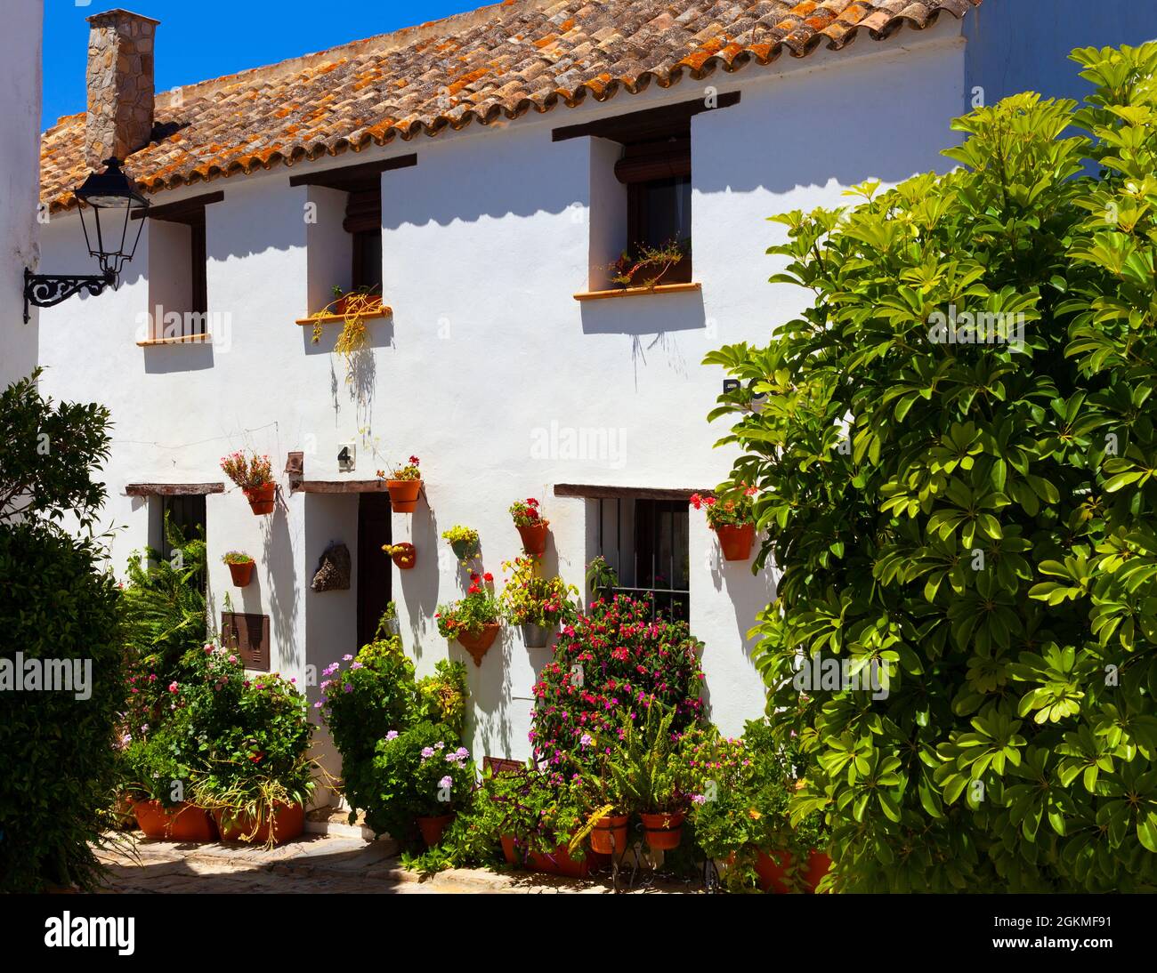 Casa fiorita a Castellar de la Frontera nella provincia di Cadice, Andalusia, Spagna, situata in una fortezza moresca-cristiana conservata. Foto Stock