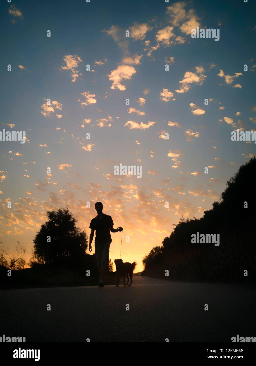 Giovane che cammina un cane al tramonto, vicino Frigiliana, Provincia di Malaga, Andalusia, Spagna Foto Stock