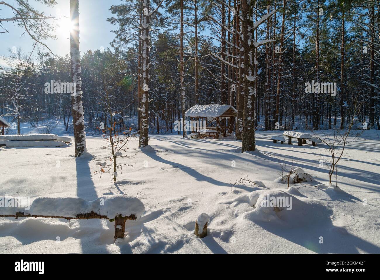 Rifugio invernale nel bosco circondato da neve fresca in una giornata di sole e freddo. Foto Stock