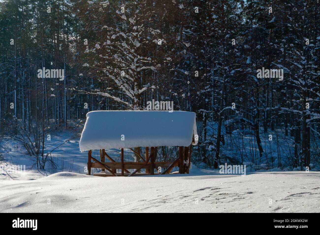 Rifugio invernale nel bosco circondato da neve fresca in una giornata di sole e freddo. Foto Stock