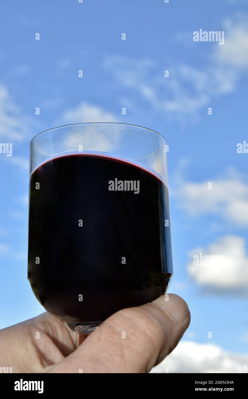 Una vista del color porpora oscuro di un buon Durif australiano Foto Stock